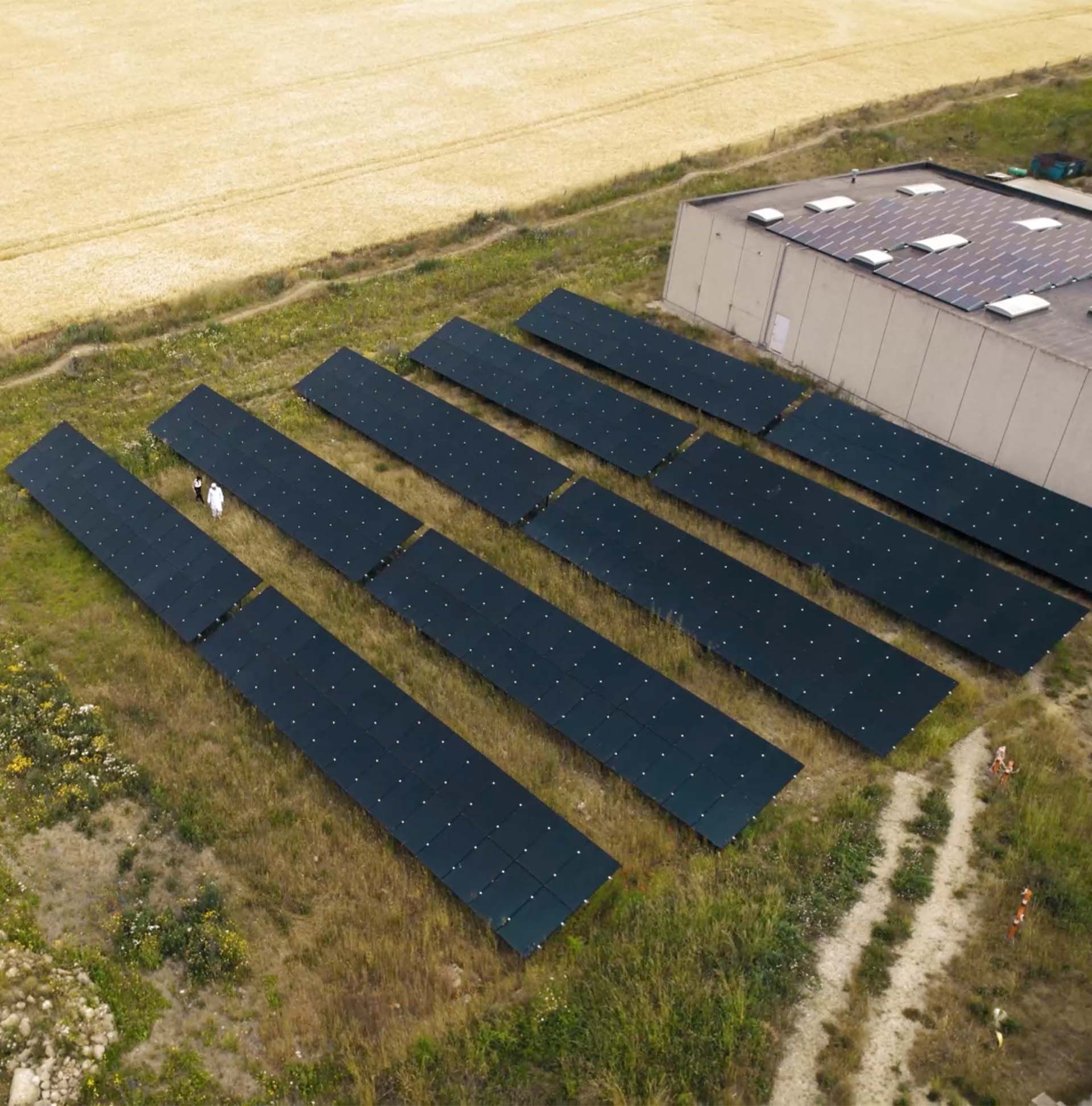 Solceller på jord med bidrag til biodiversitet samt tagbaseret solcelleanlæg