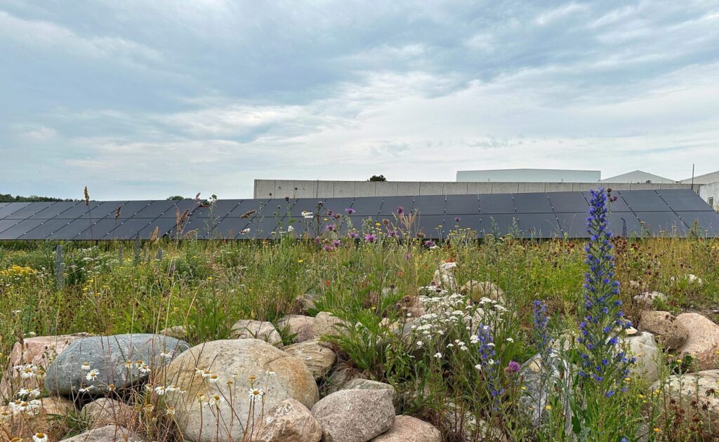 Solceller blandt vild natur som øger biodiversiteten