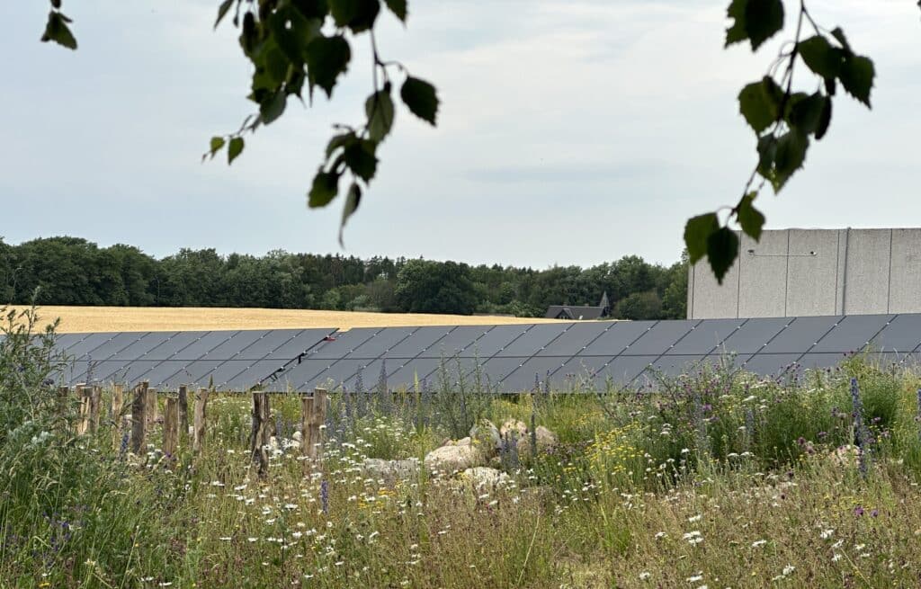 Solceller om sommeren