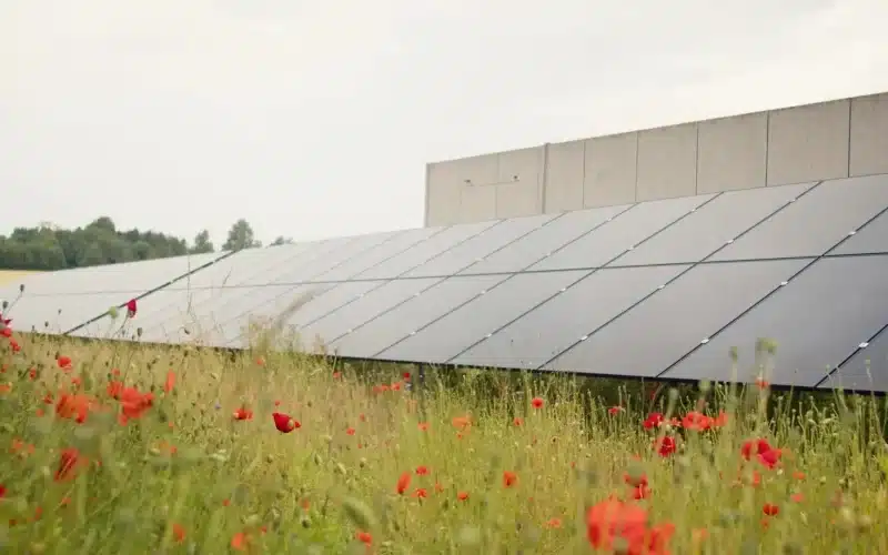 NRGreen solceller hos Hansens Flødeis